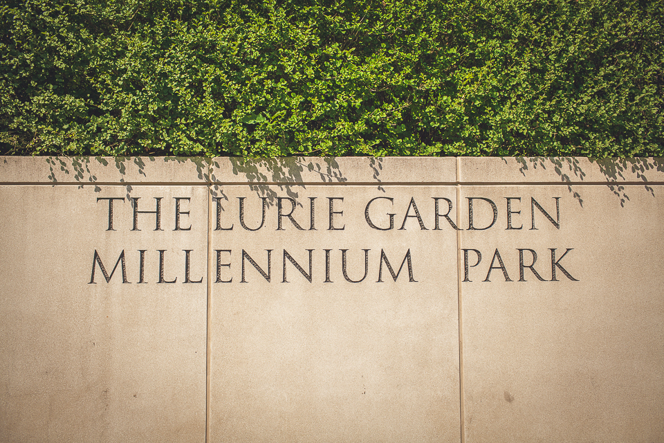 01 the lurie garden millenium park - Surprise Wedding Proposal Downtown Chicago || Cassie + Jason
