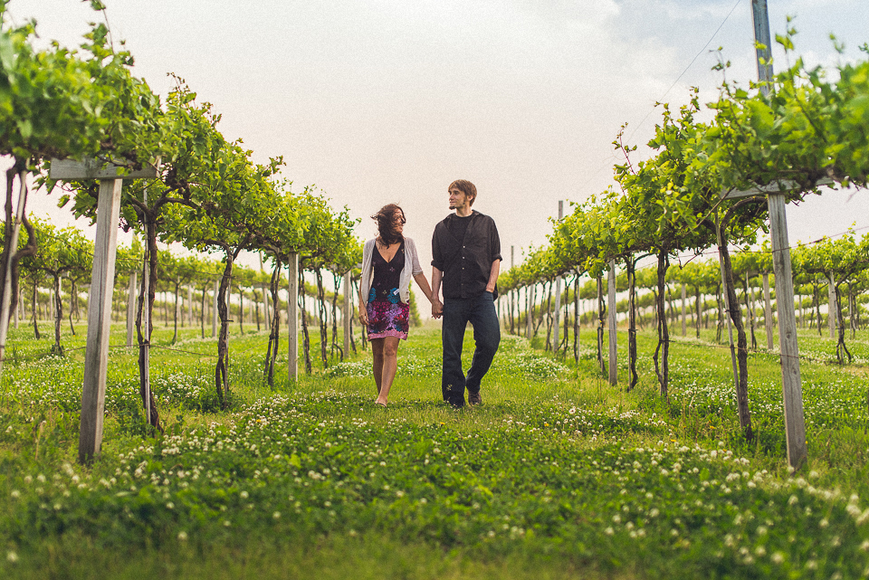 01 vineyard at dekalb - Best Photos of 2014 // Chicago Wedding Photographer