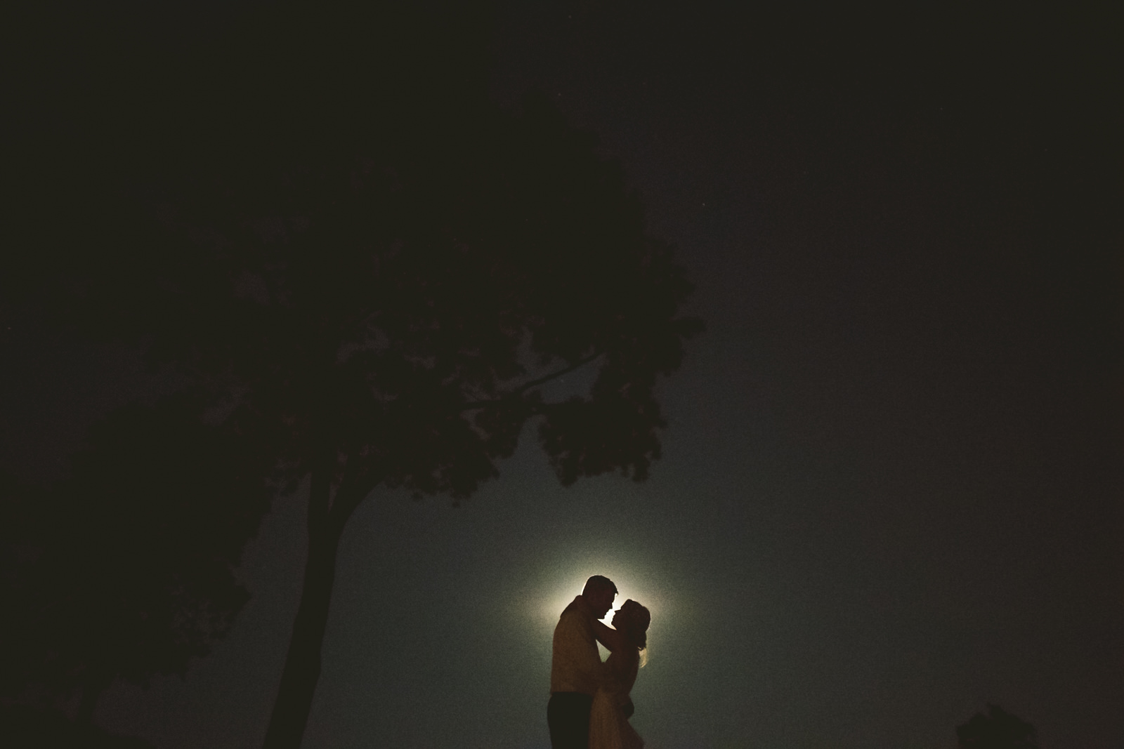 107 moonlit session photography - Stephanie + Zack // Conway Farms Chicago Wedding Photographers