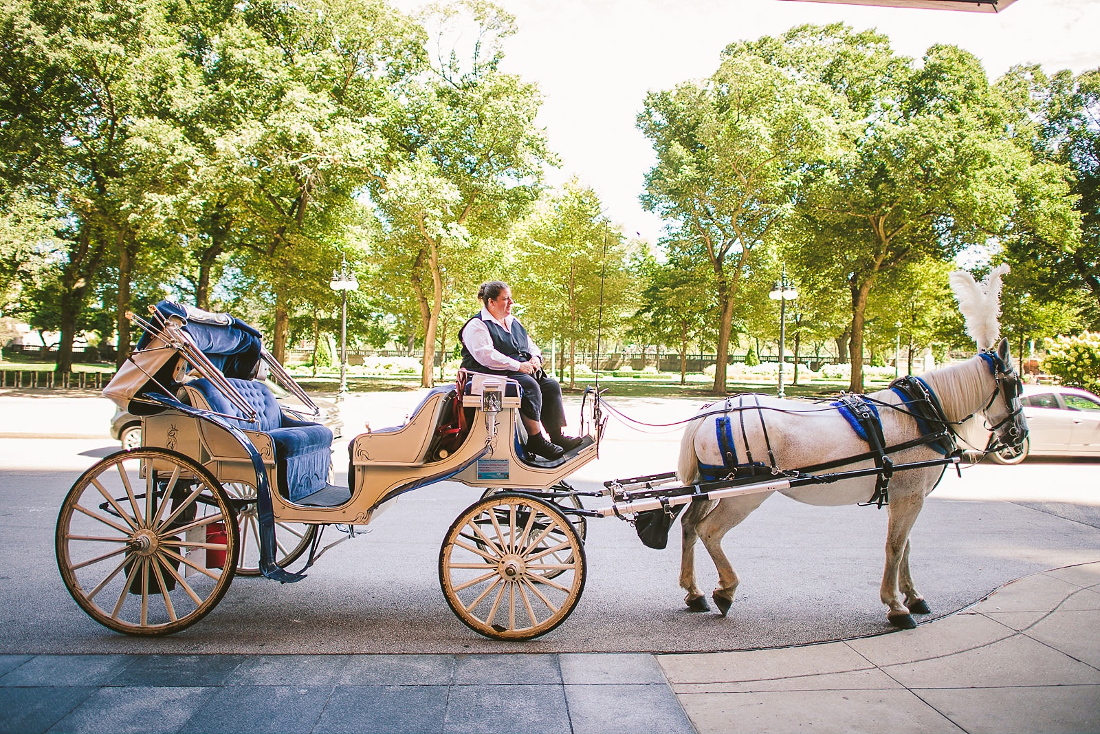 22 horse drawn carriage waiting for bride on michigan avenue - Hilton Chicago Wedding Photographer // Sarah + Aaron
