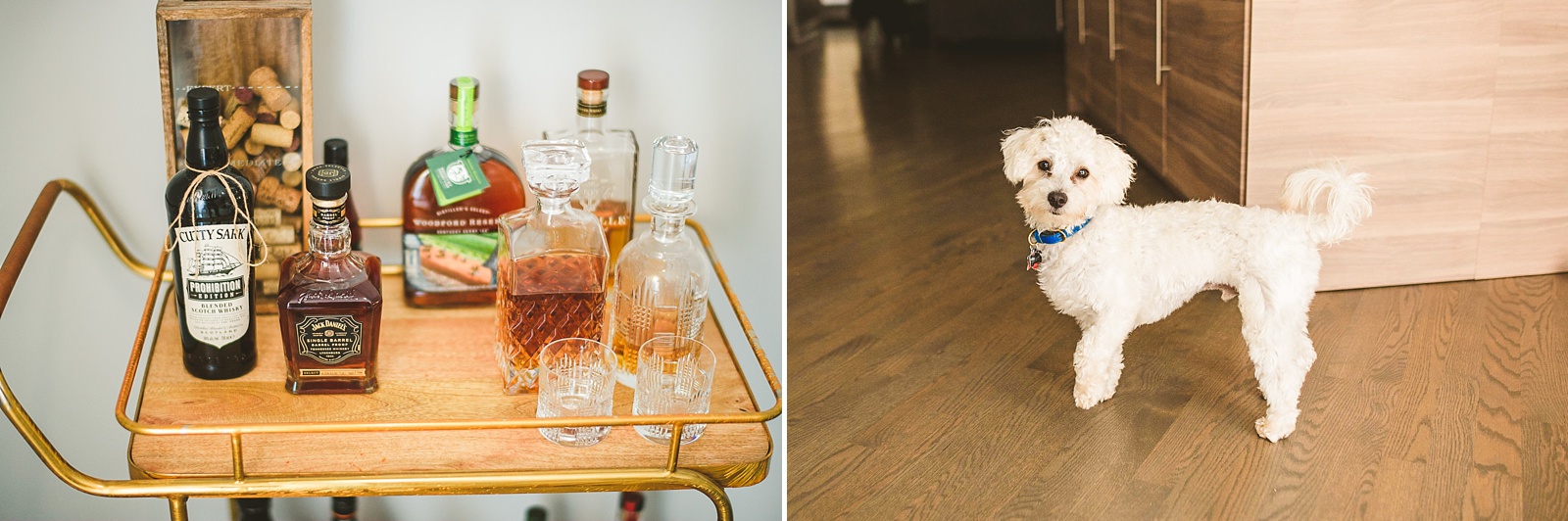 02 booze and dog - Morgan's on Fulton Wedding Photos // Jessica + Bill