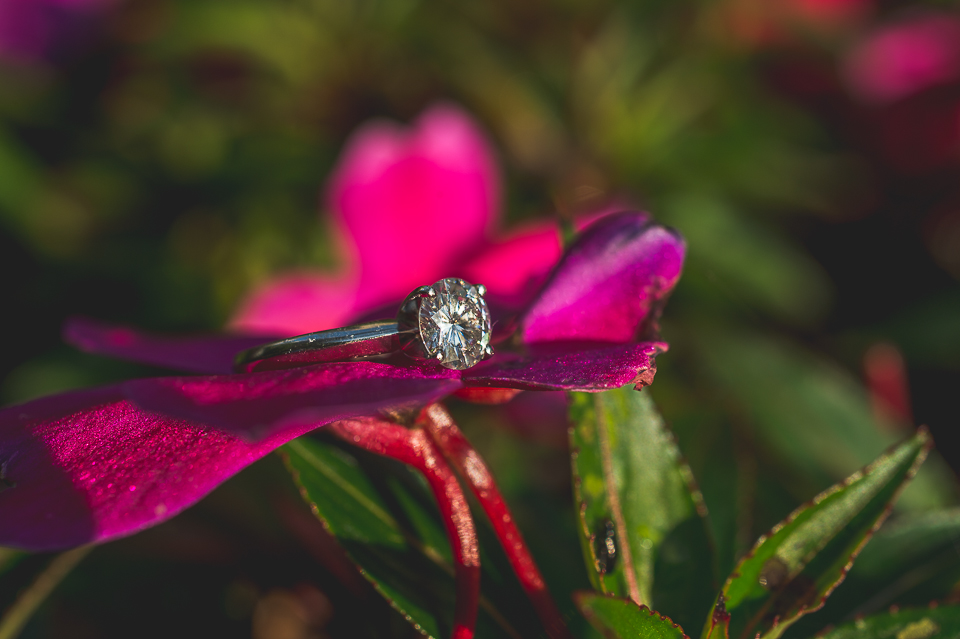 17 creative and artistic engagement ring photo