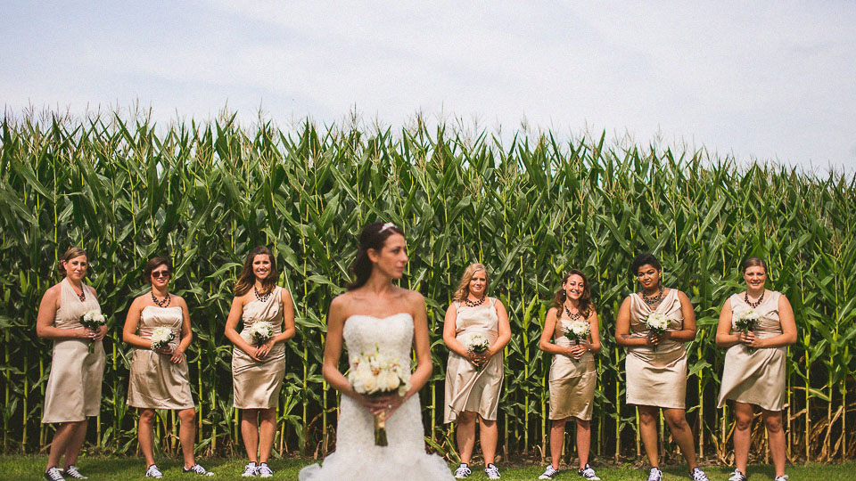 bridesmaids and corn near dekalb