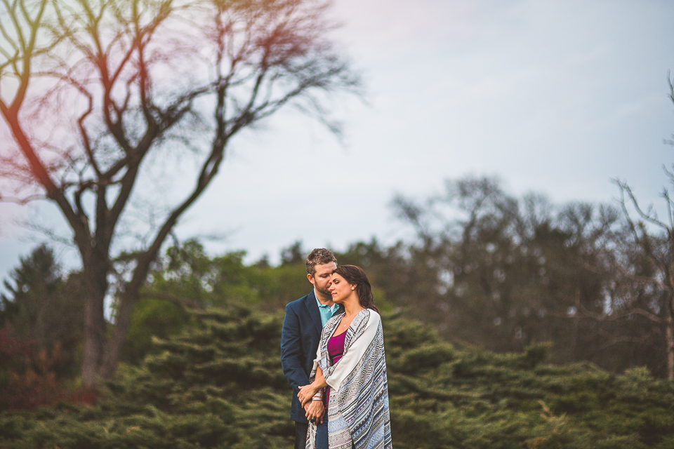 17 epic engagement photos at morton arboretum