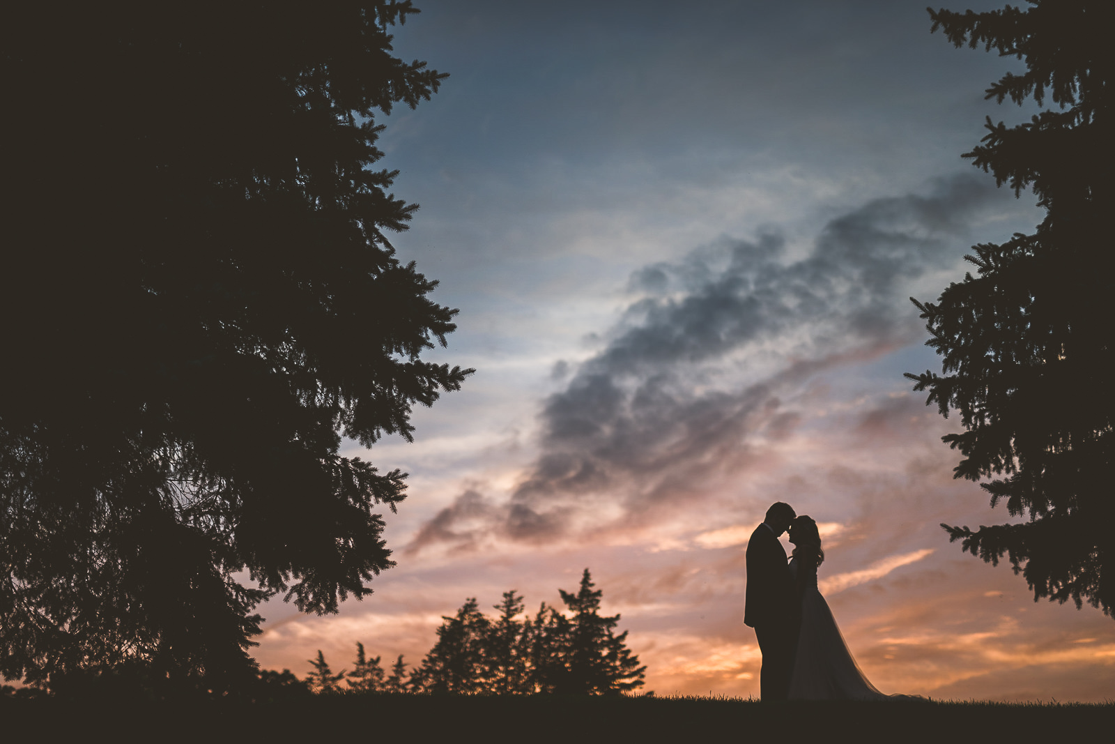 51 wedding photographer at fishermans inn elburn il
